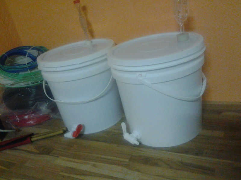 Arquivo:Fermentacao de 20L.jpg