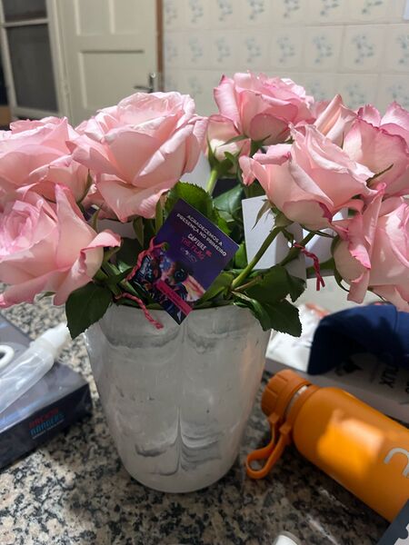 Arquivo:Flores.jpeg