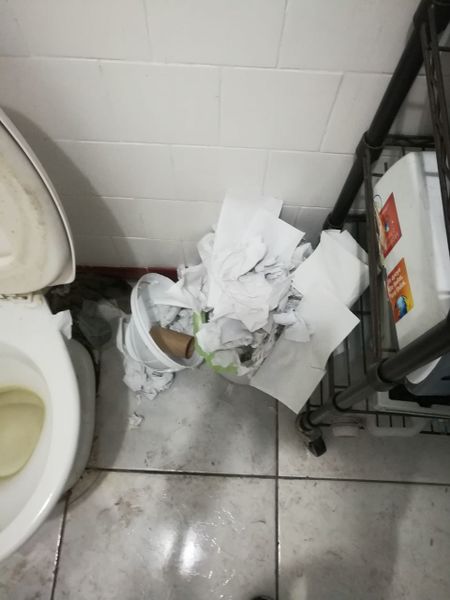 Arquivo:Lixeiracheia.jpg