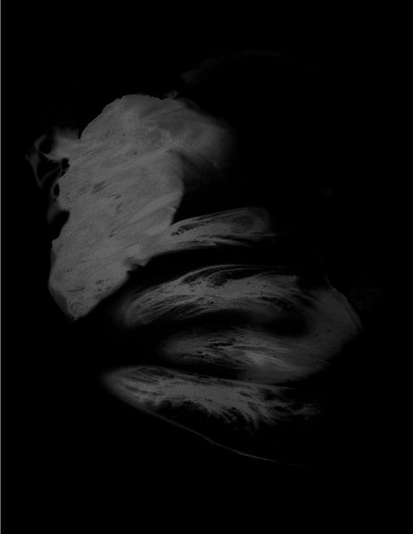 Arquivo:Respiracionnasal.jpg